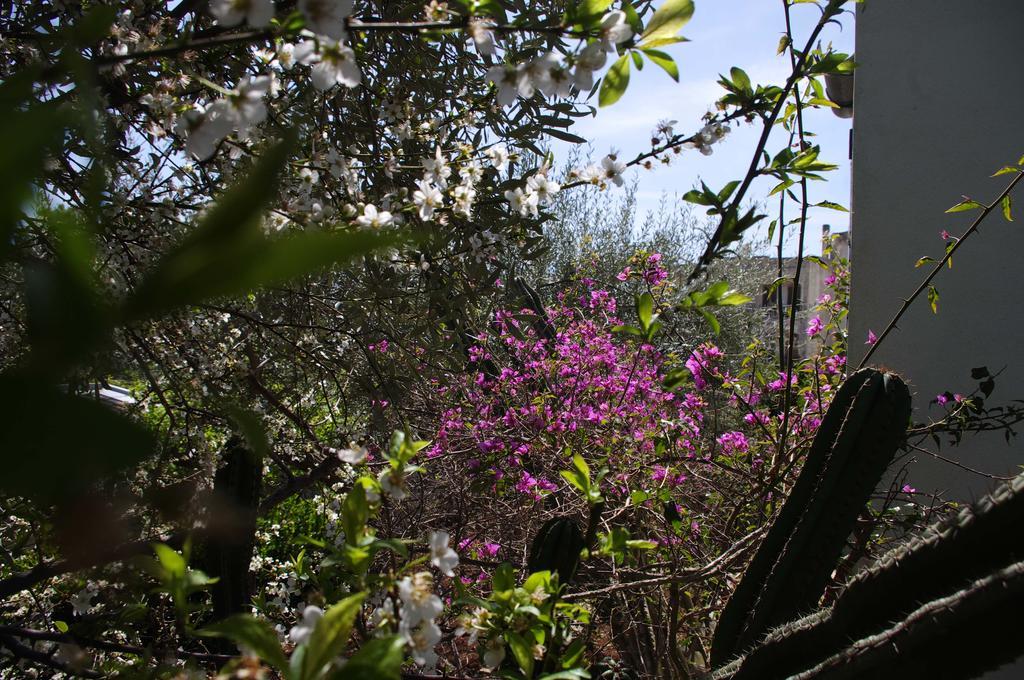 La Piccola Locanda Modica Dış mekan fotoğraf